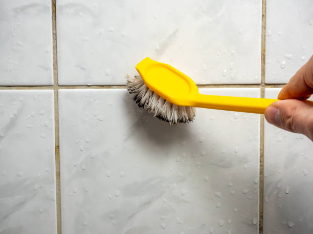 Aurora, OH Mold Removal Company